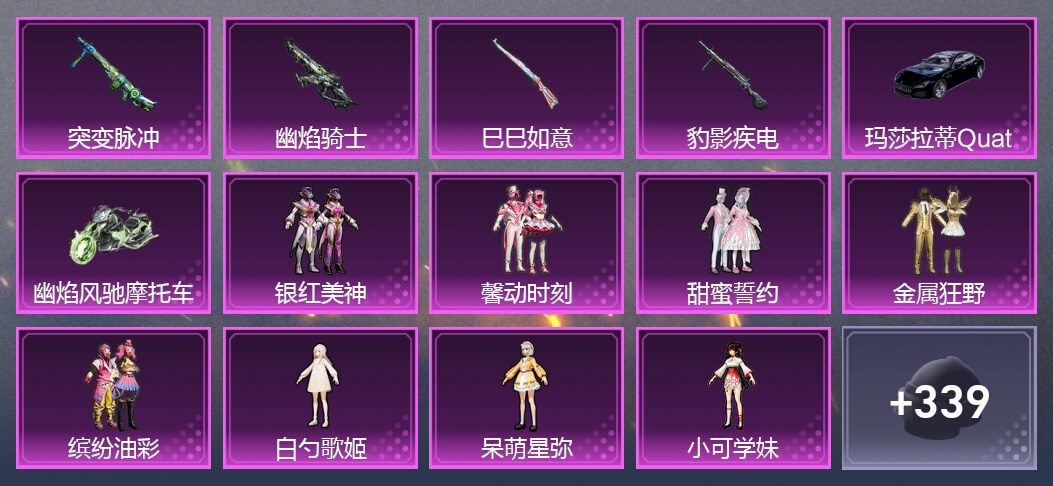 2载具 4升级枪 19粉装 5尾迹 220套装 80344热力 2印记