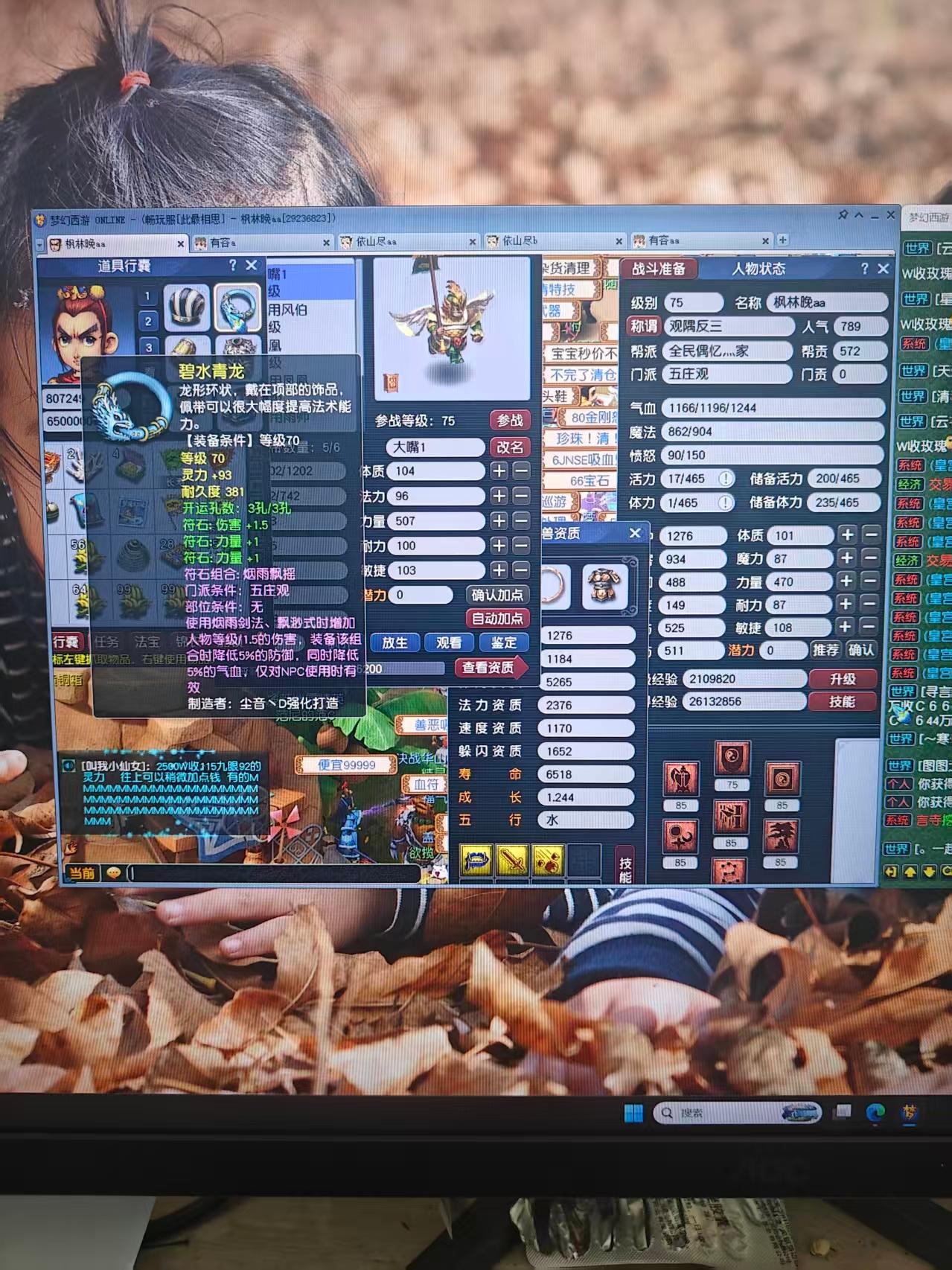 1wz4pt整组带装备BB等